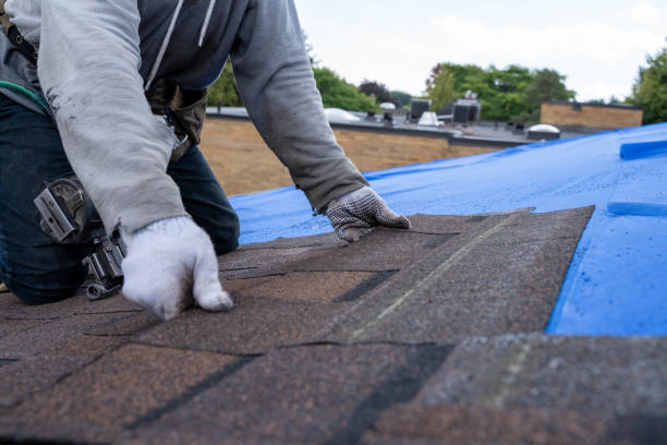 Best Sheet Metal Roofing  in Springdale, NC
